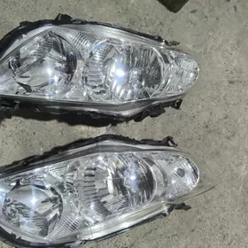 Haliji karollo fara 2010