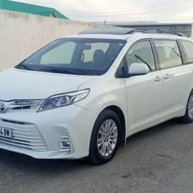 siyenna ofislar ucin