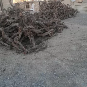 Üzüm töňňe (odun)