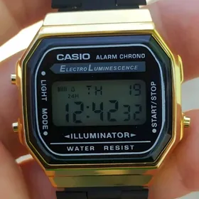 Sagat Часы Casio.