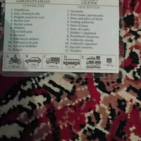 waditellik is gozleyan