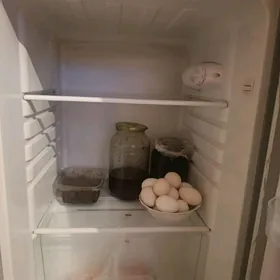 haladilnikhaladilnik