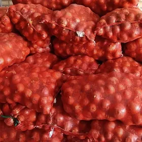 Lomaý Sogan satylyar 15 tonna