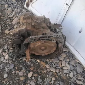 tayota karola. karopka