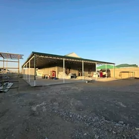 Anew Magtymguly Plan