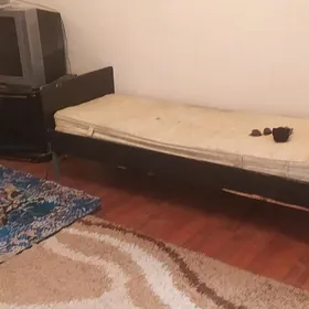 Arenda Jaý Jangada Bez Hazaýn