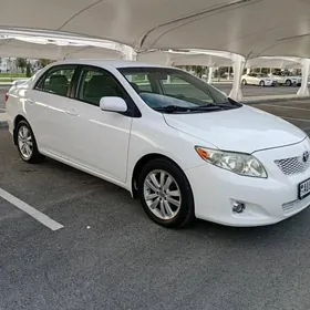 Toyota Corolla 2010