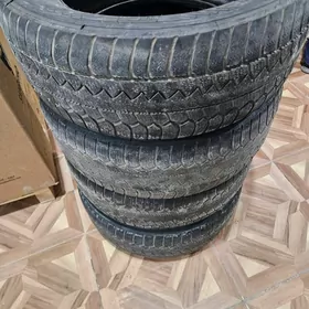 Teker 225/60R18