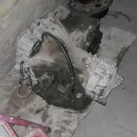 22 matoryn karopkasy lisicka