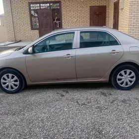 Toyota Corolla 2009