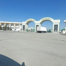 Ammarlar merkezinde ammar