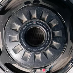 18 lik nisgi dinamik