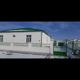 Тазе шахерче