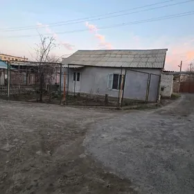 Titow skwarsowa catyrk howly