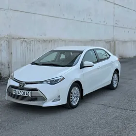 Toyota Corolla 2019