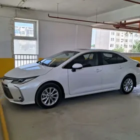 Водитель ищет работу.