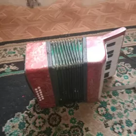 Музыкальный инструмент