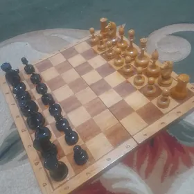 Шахматы СССР