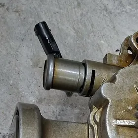 yag nasosyn salinoyd dacigi