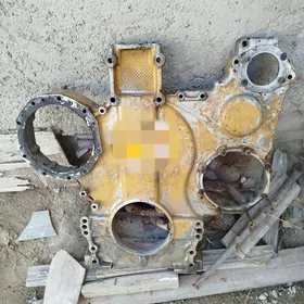 Кат 8 лик перед крышка