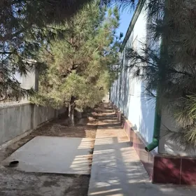 Satlyk 2gektar onumcilik ammar