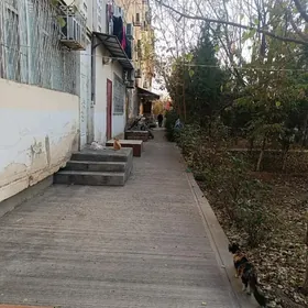 Arenda Dosaf talyp oglana