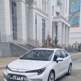 Toyota Corolla 2022