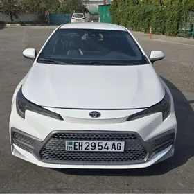 Toyota Corolla 2019