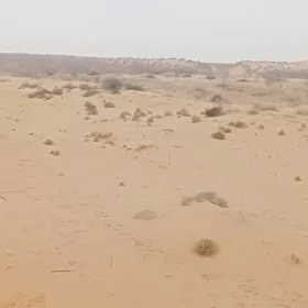 Melek yer öñaldy yer