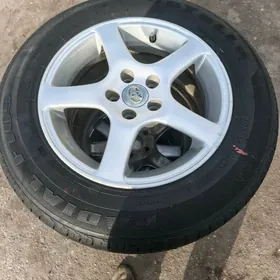 15 lik karolla dysga pakryşka