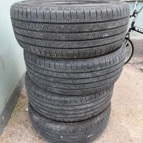 Haylander pakriska 19lyk