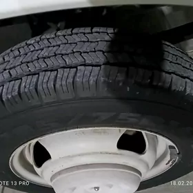 gazelel teker kamilekit