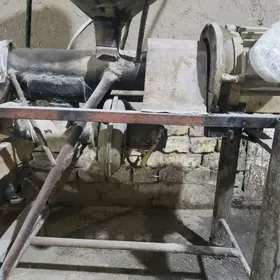 Çigit we Bugdaý arasalayan