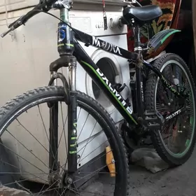 Велик Спартивный26