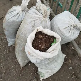 Кепдер Дерс