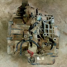 Hunday sanata karopka