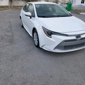 Toyota Corolla 2020