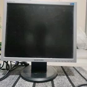 monitor