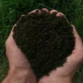 DERS GUM MYTY TOPRAK ГУМ ДЕРС НАВОЗ PULPA MITI YANAN DERS GRAMASA ṢEBIL ÇEGA SYMENT