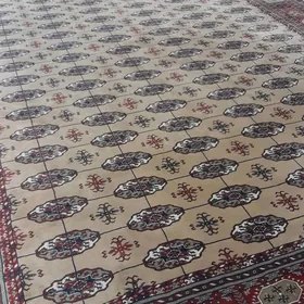 Haly kòśek renk 4 uzynlygy 3,5