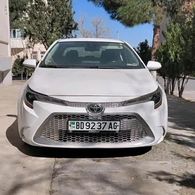 Toyota Corolla 2020