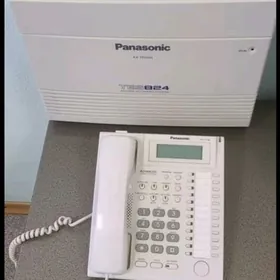 Panasonic tem 824