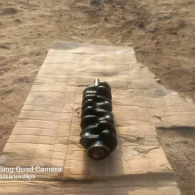 2- lik matoryň waly