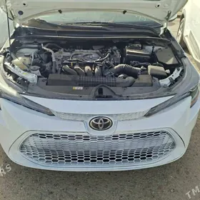 Toyota Corolla 2021