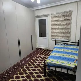 Arenda Mir7 3kom arassa jay