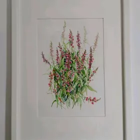 "Полевые цветы"