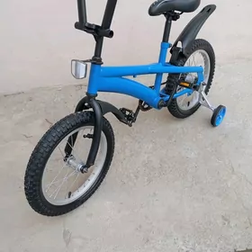 16 lyk sportivny welik