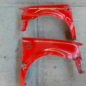 крылья передние