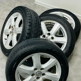 okuz kelle diska 17 lik