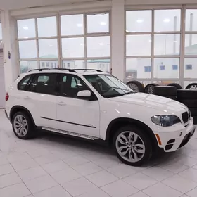 BMW X5 2010